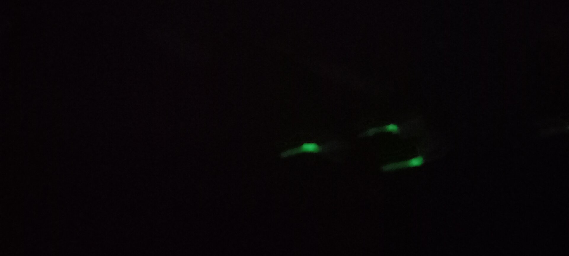 20231217_162857.jpg