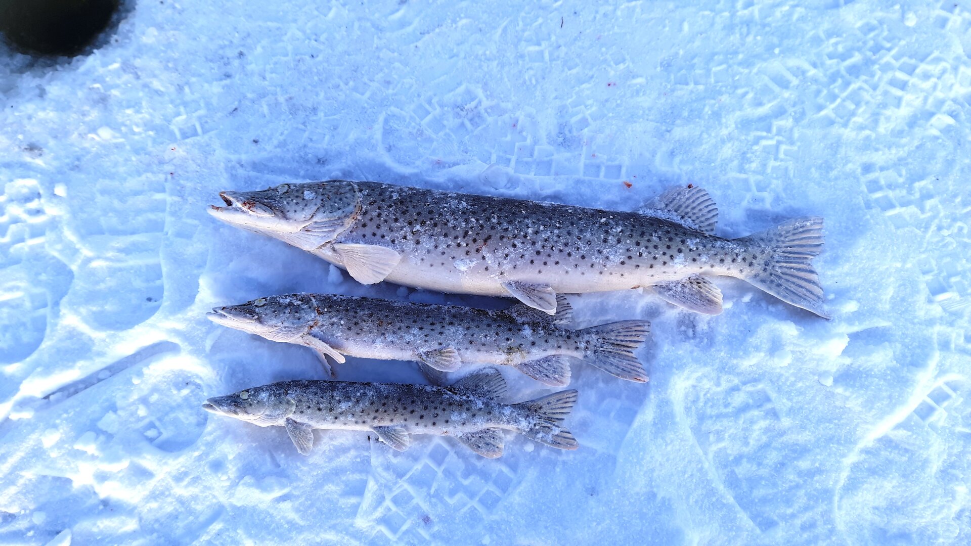 20231219_161641.jpg