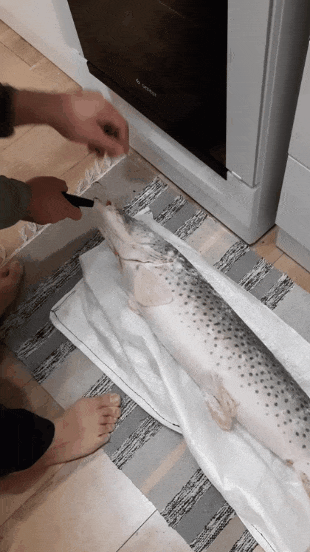 20231220_Gif.gif