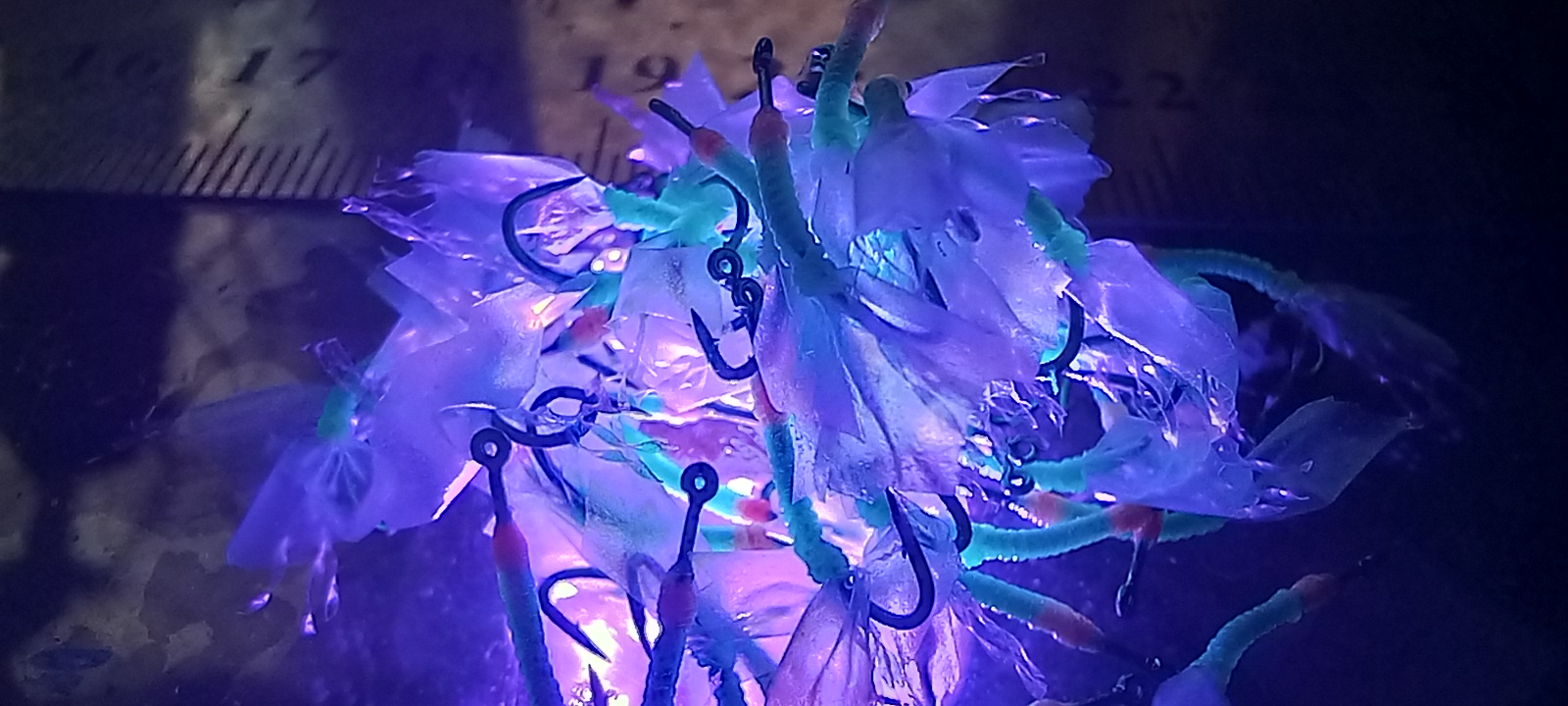 20231223_171155.jpg