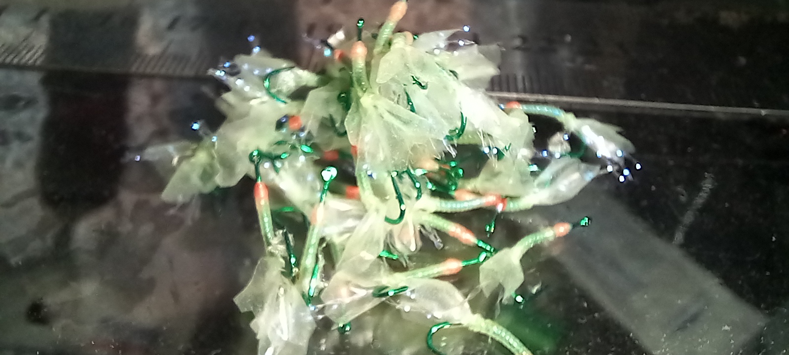 20231223_171216.jpg