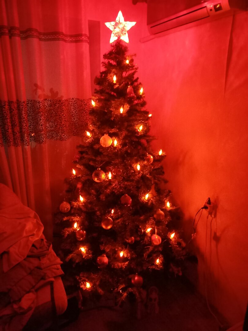 20240101_022218.jpg
