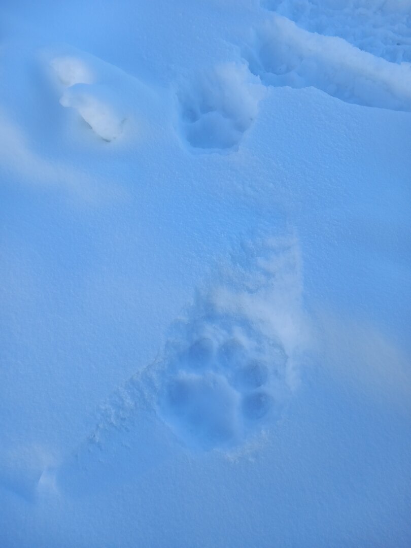 20240112_093450.jpg