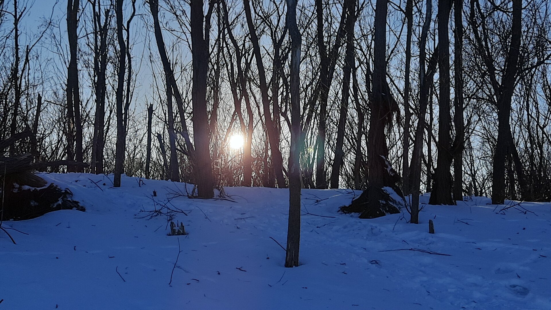 20240222_172504.jpg