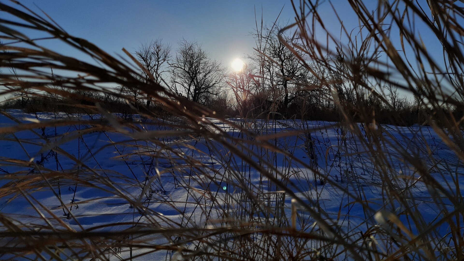 20240307_175550.jpg
