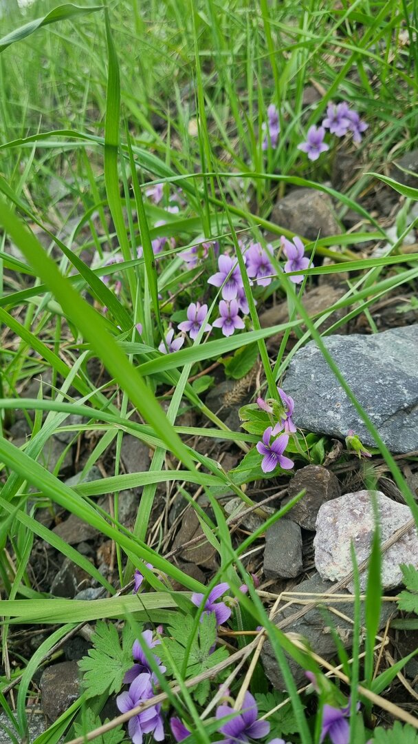 20240502_130725.jpg