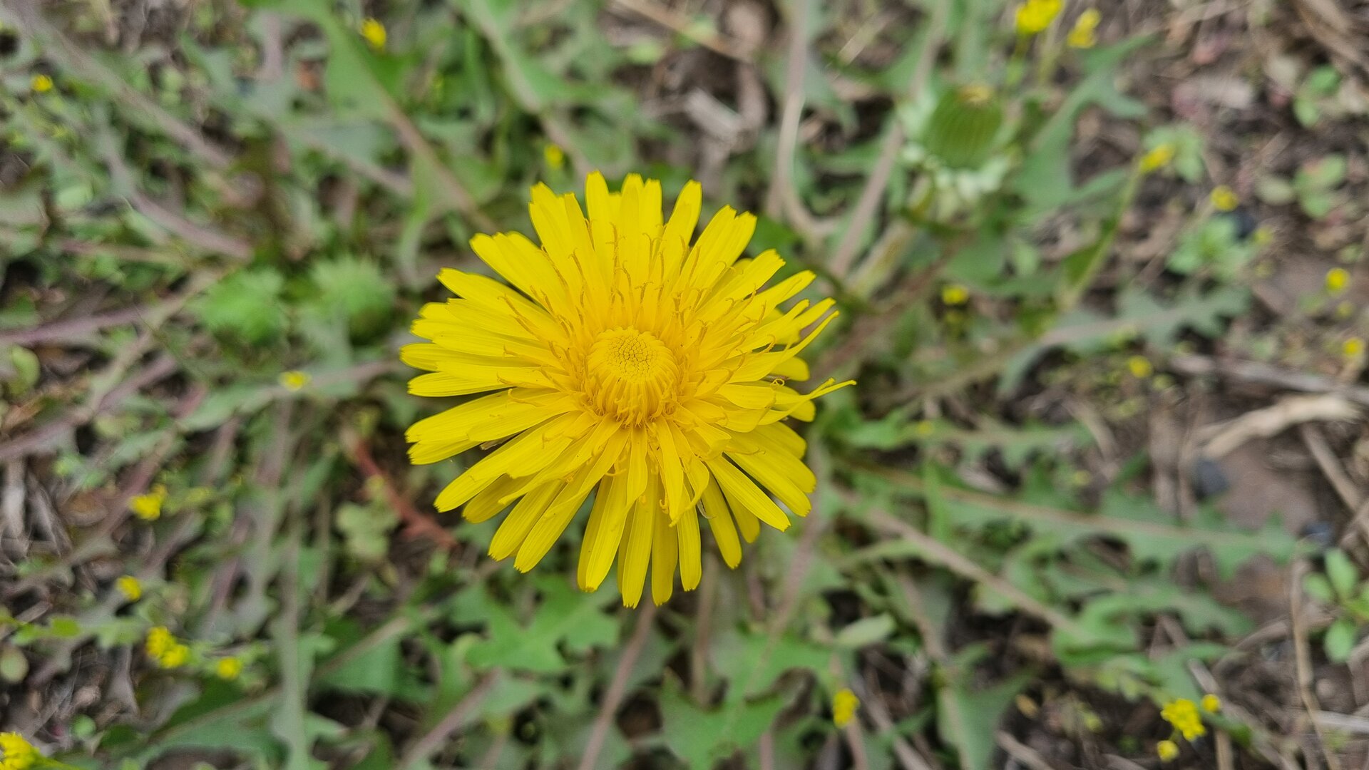 20240502_132134.jpg