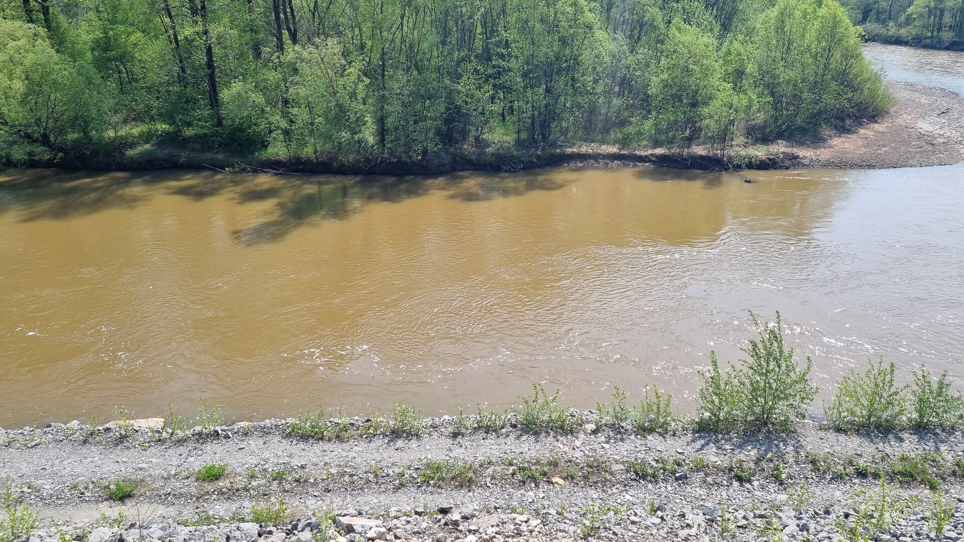 20240519_145633.jpg