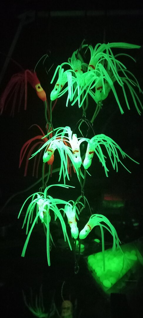 20240606_214402.jpg