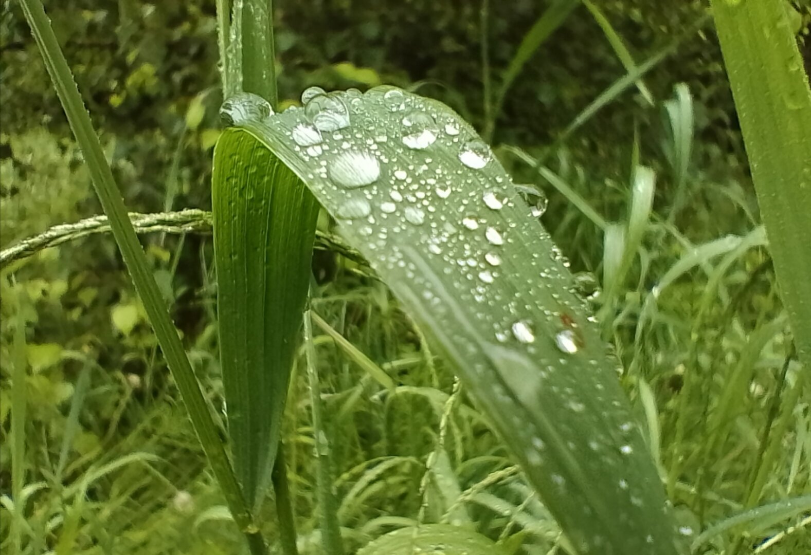 20240616_092852363.jpg