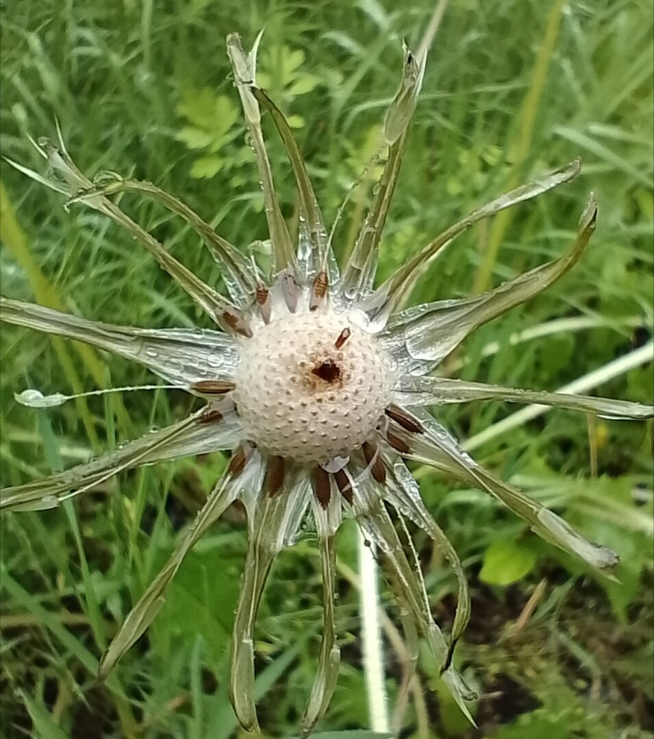 20240616_093110349.jpg