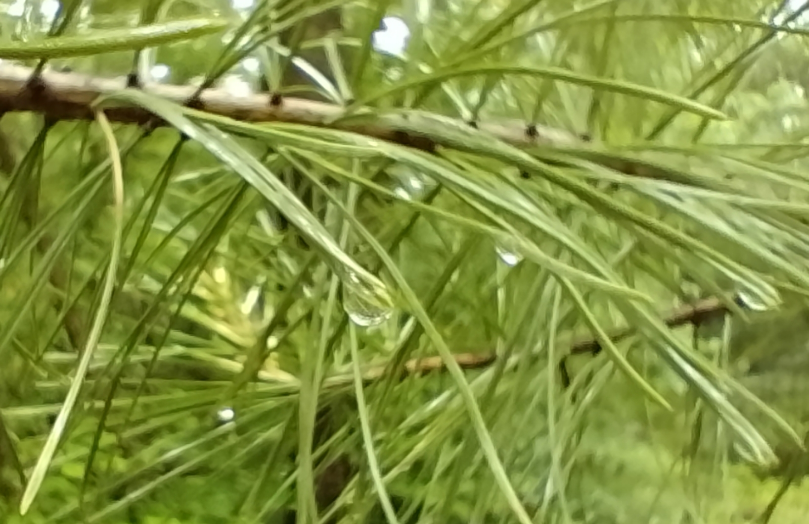 20240616_095349832.jpg