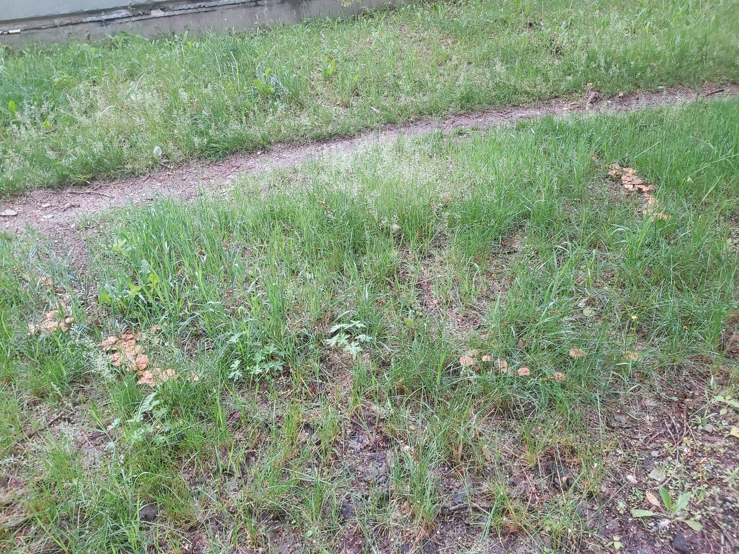 20240618_073351.jpg