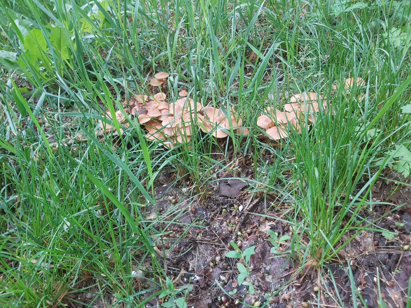 20240618_073413.jpg