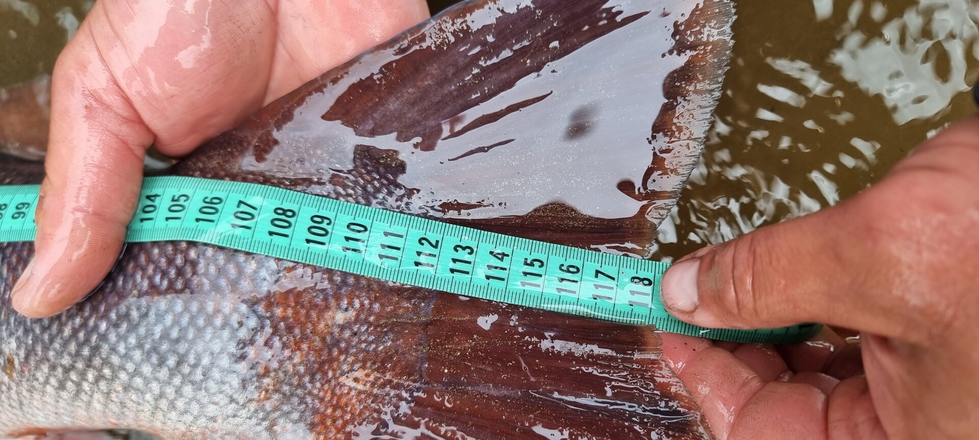 20240622_135439.jpg