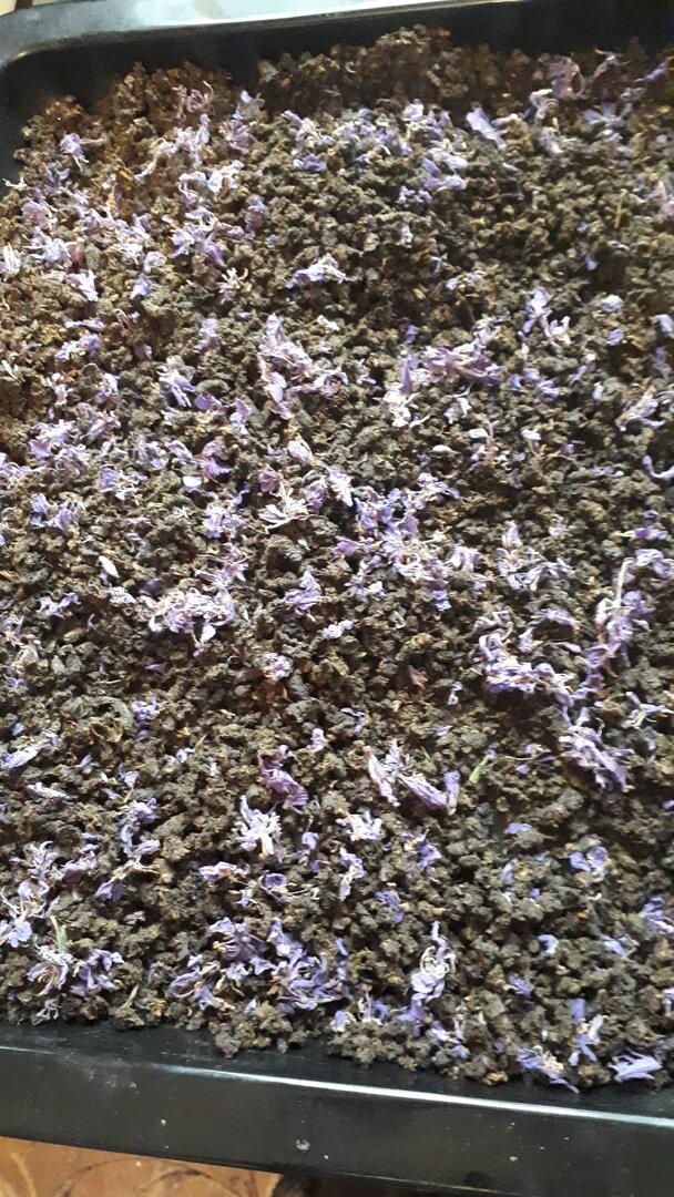 20240622_180213.jpg