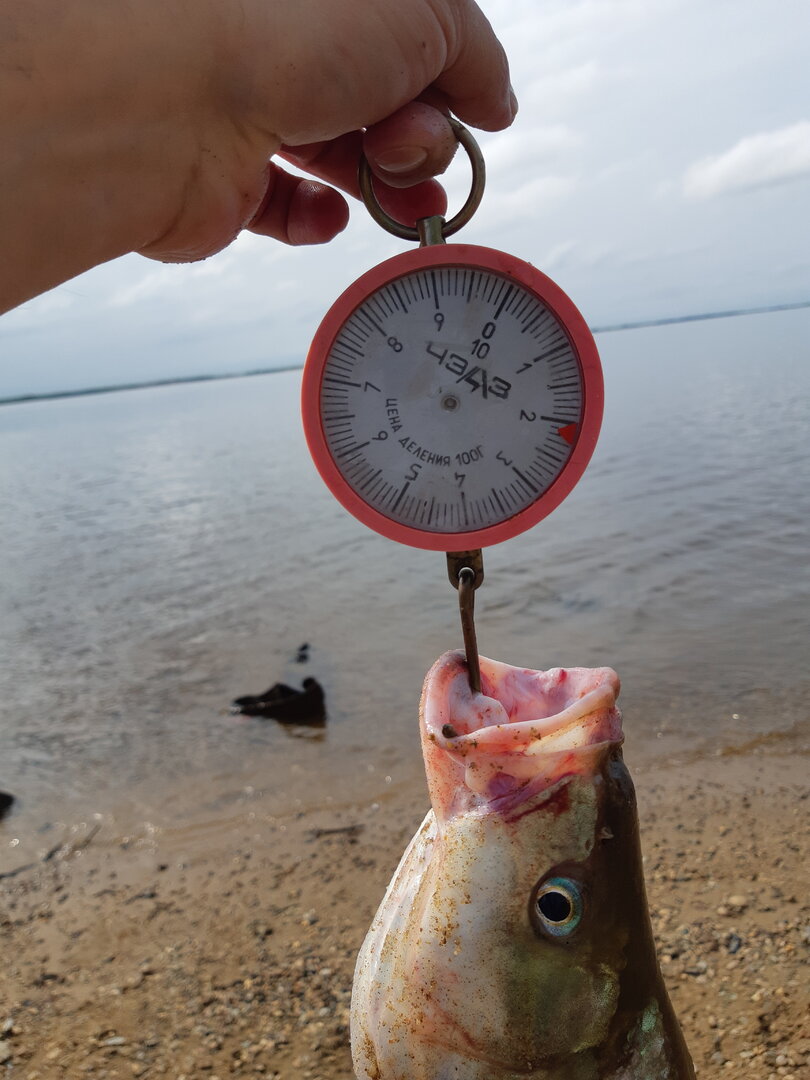 20240728_165415.jpg 20240728_165415.jpg