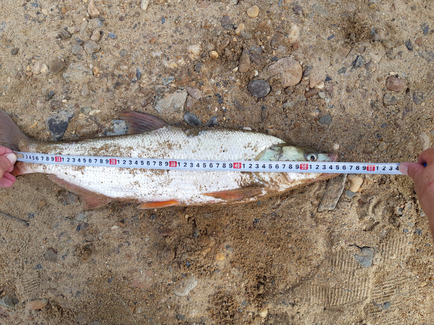 20240728_165542.jpg 20240728_165542.jpg