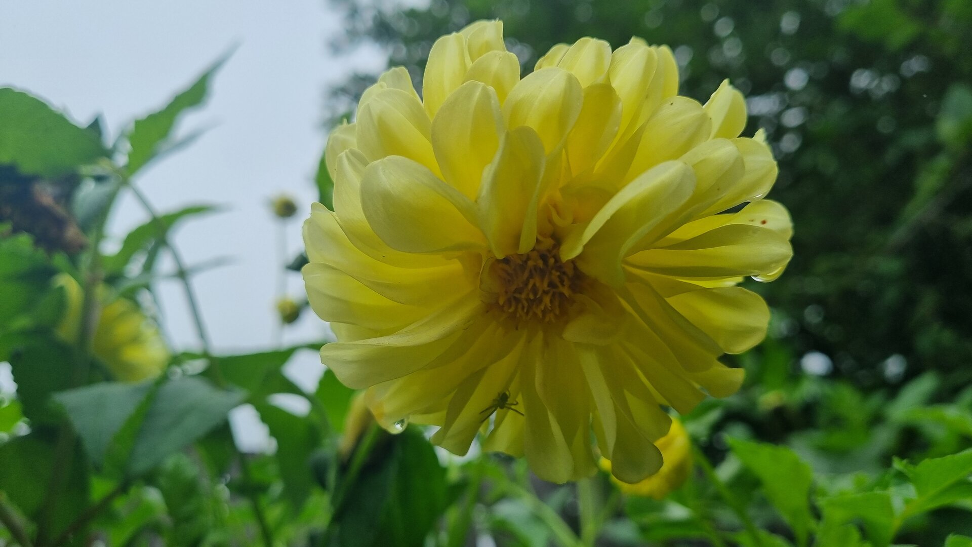 20240805_140639.jpg