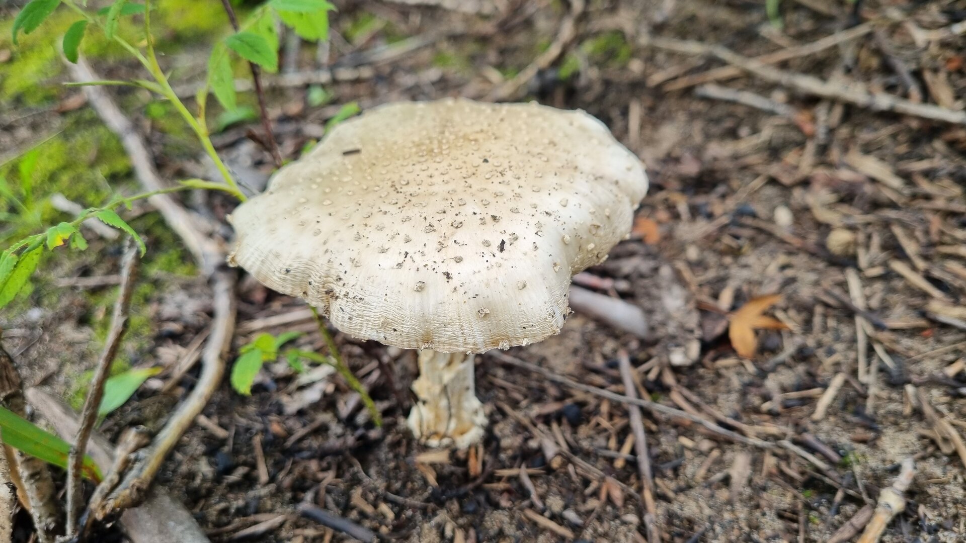 20240810_143510.jpg
