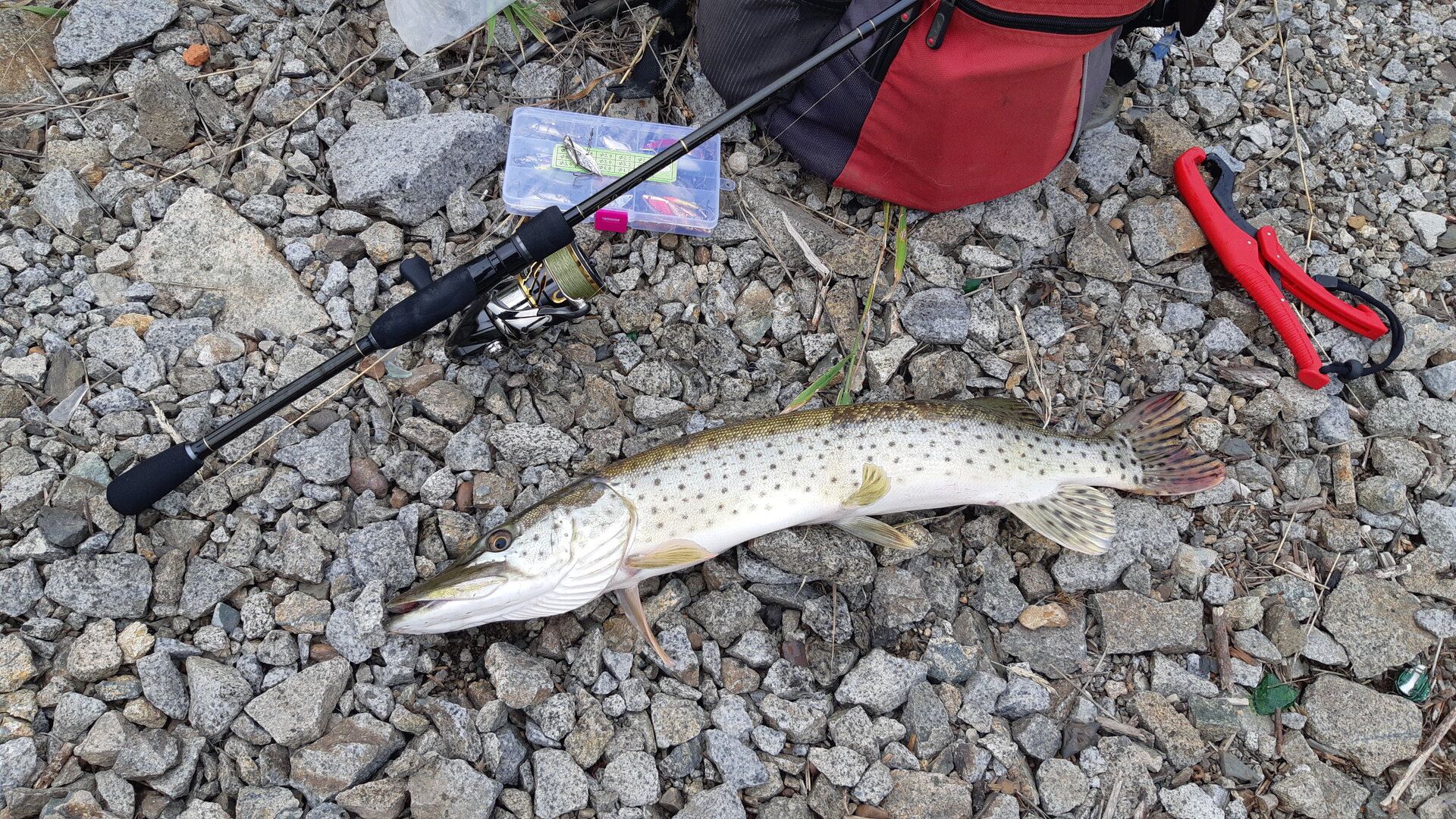 20240812_175056.jpg 20240812_175056.jpg