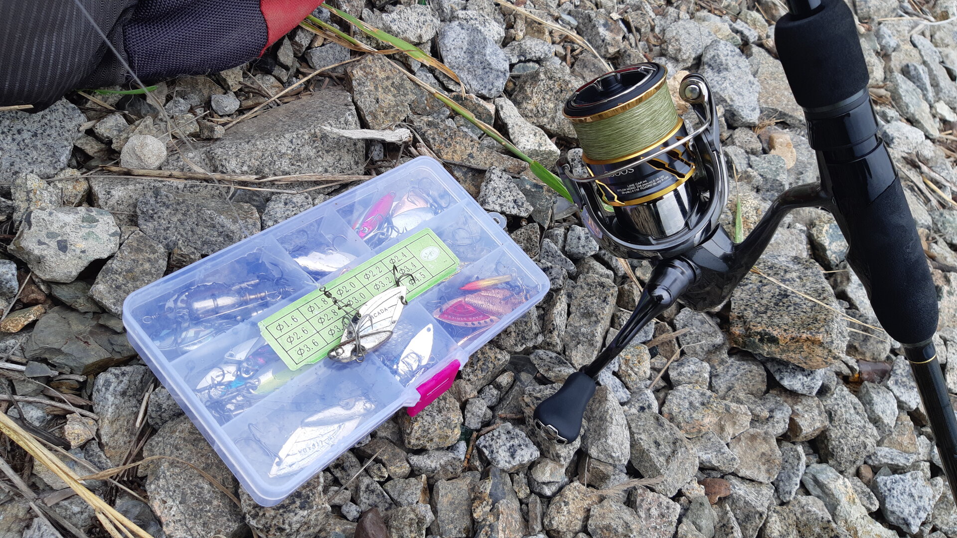 20240812_175247.jpg 20240812_175247.jpg