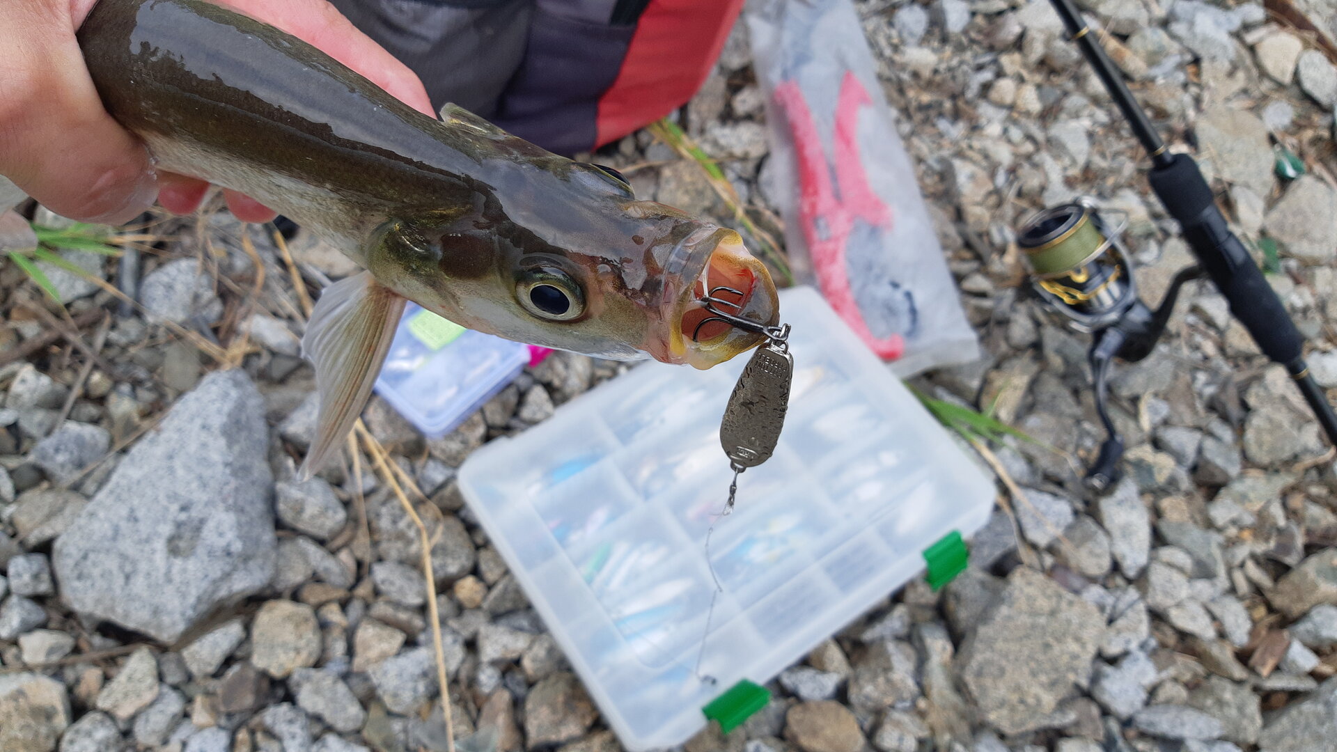 20240812_182404.jpg 20240812_182404.jpg