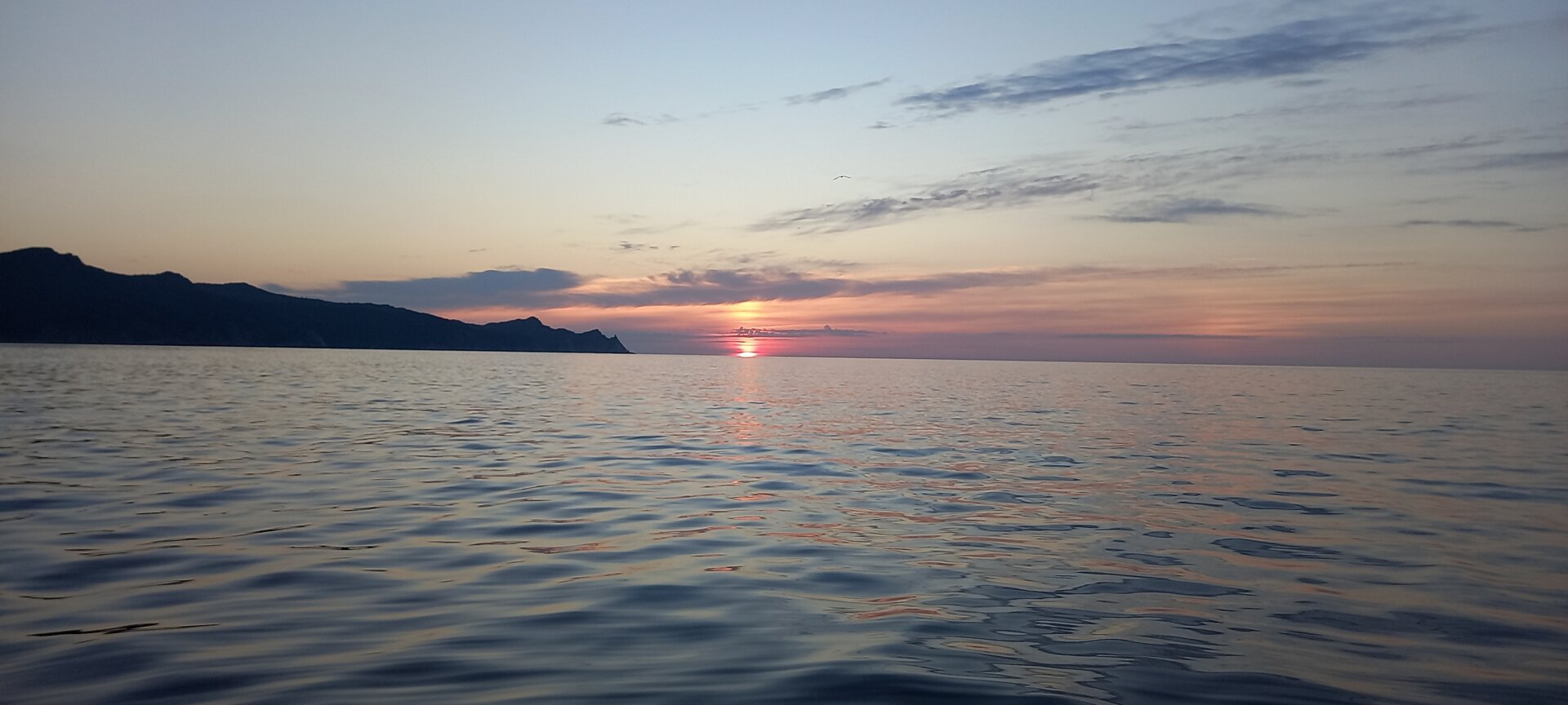 20240829_063024.jpg