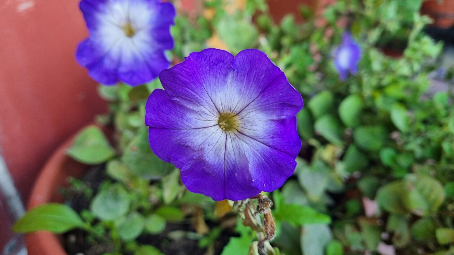 20240902_072643.jpg