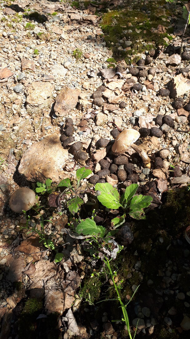 20240902_131317.jpg 20240902_131317.jpg