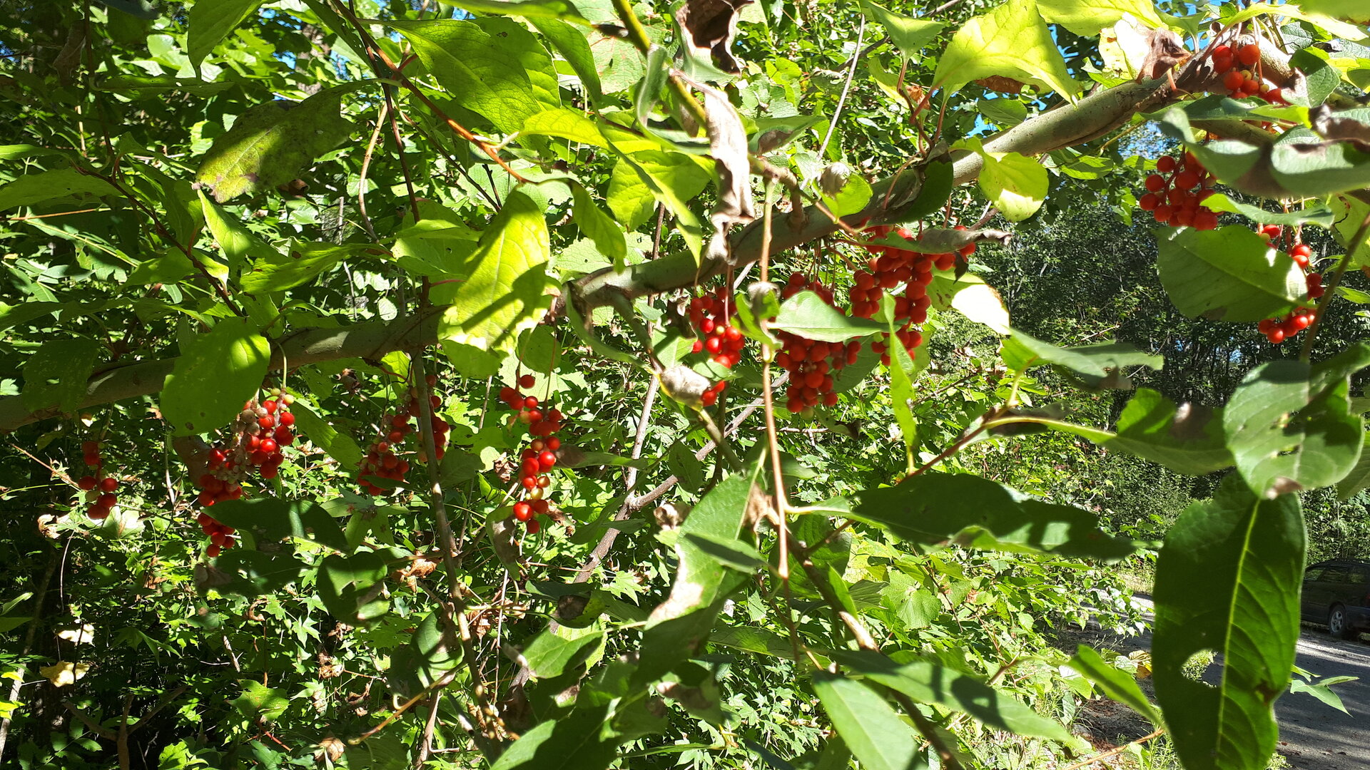 20240902_140202.jpg 20240902_140202.jpg