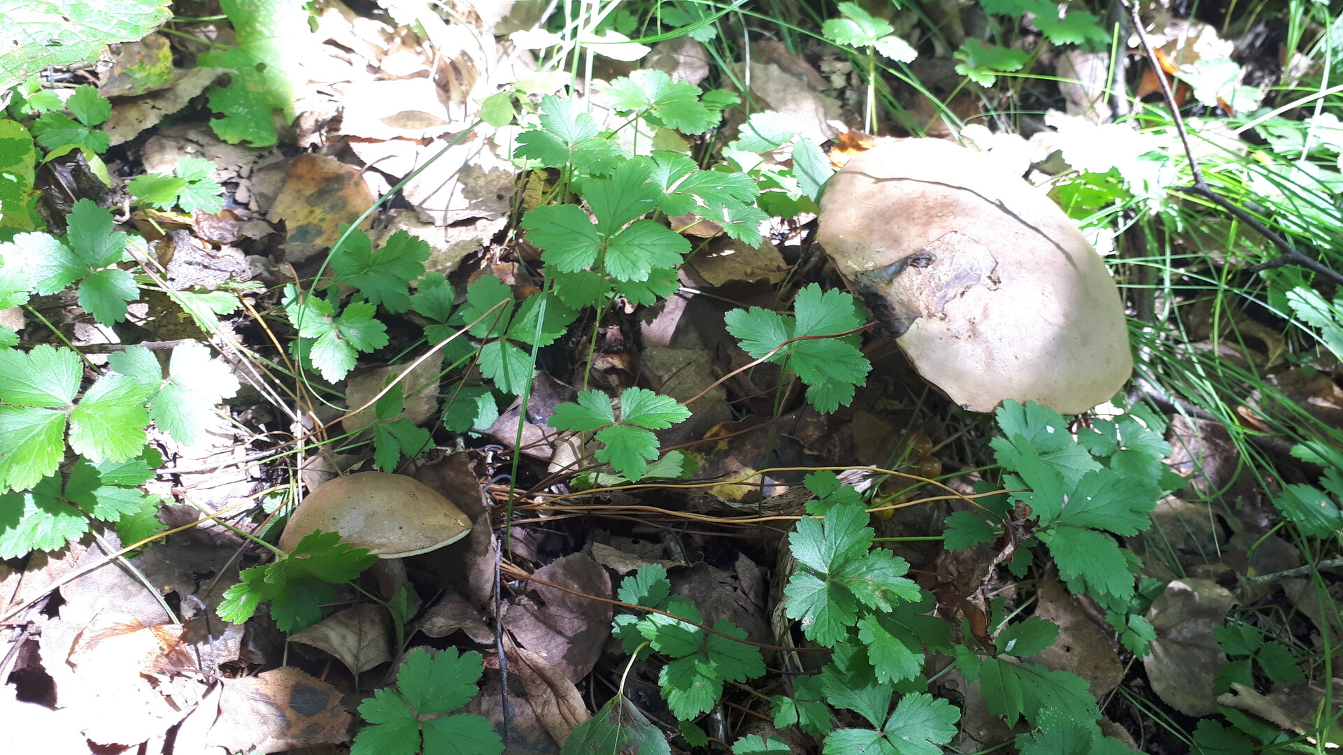 20240902_142051.jpg 20240902_142051.jpg