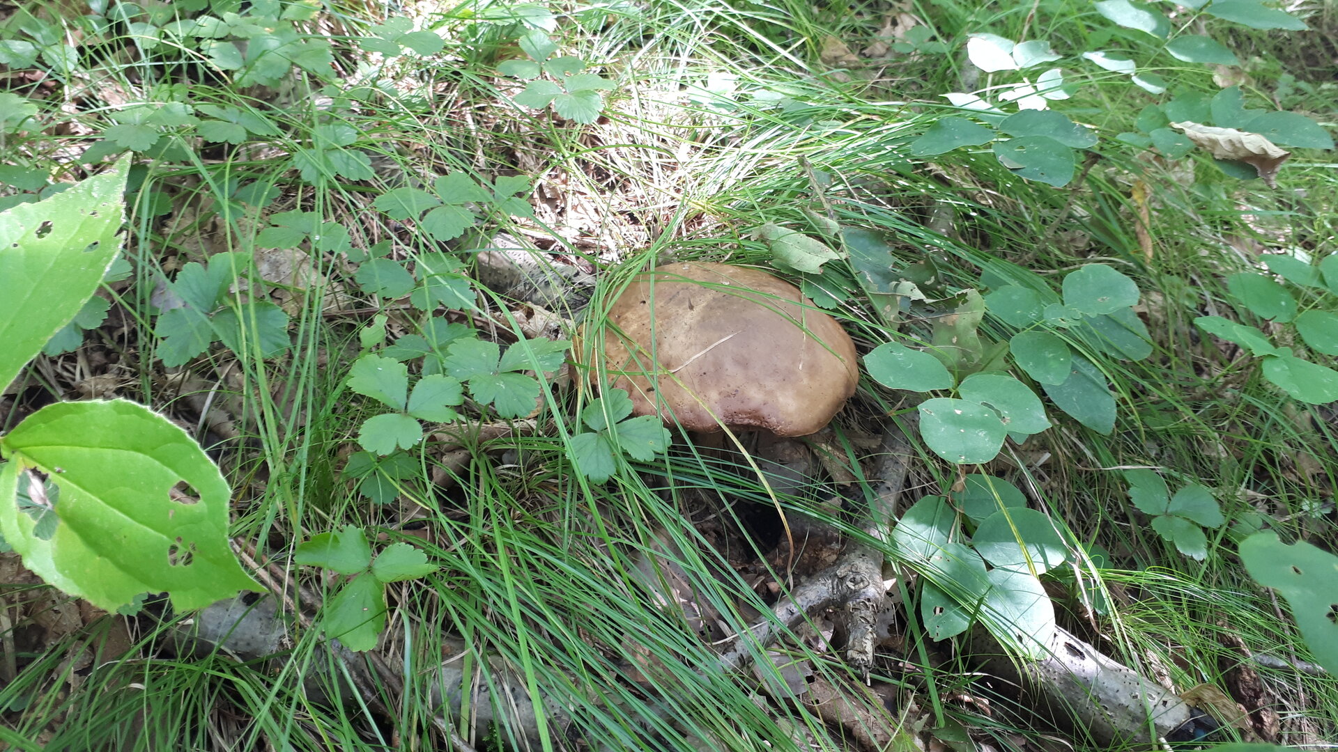 20240902_142852.jpg 20240902_142852.jpg