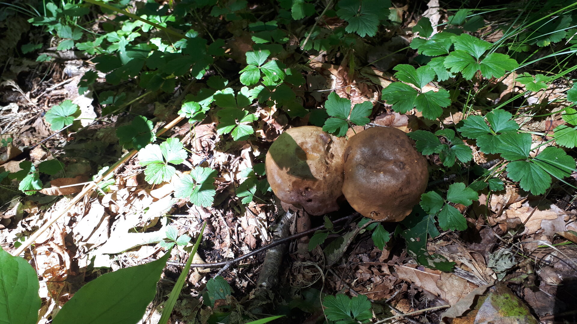 20240902_143138.jpg 20240902_143138.jpg