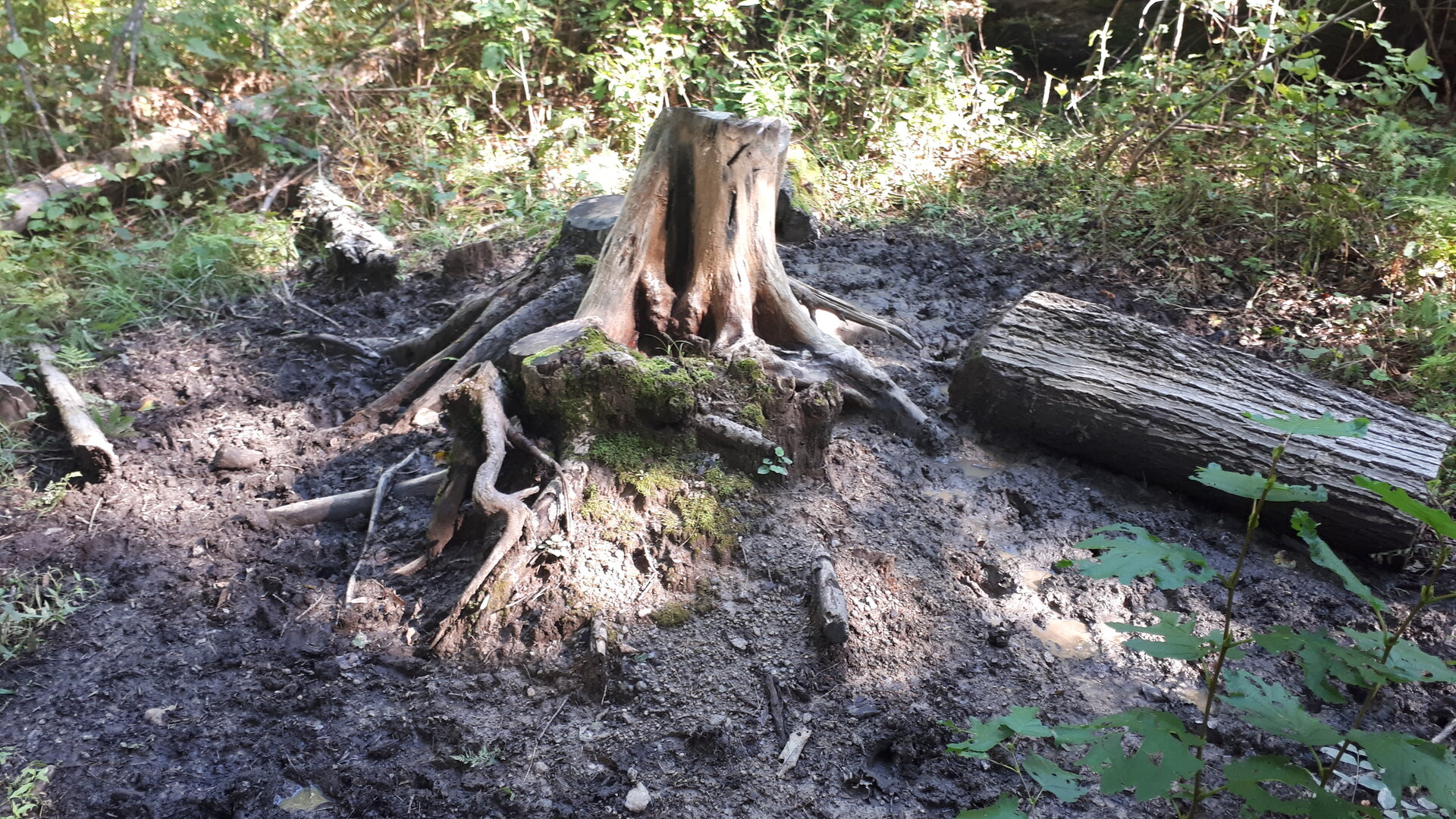 20240902_151601.jpg 20240902_151601.jpg