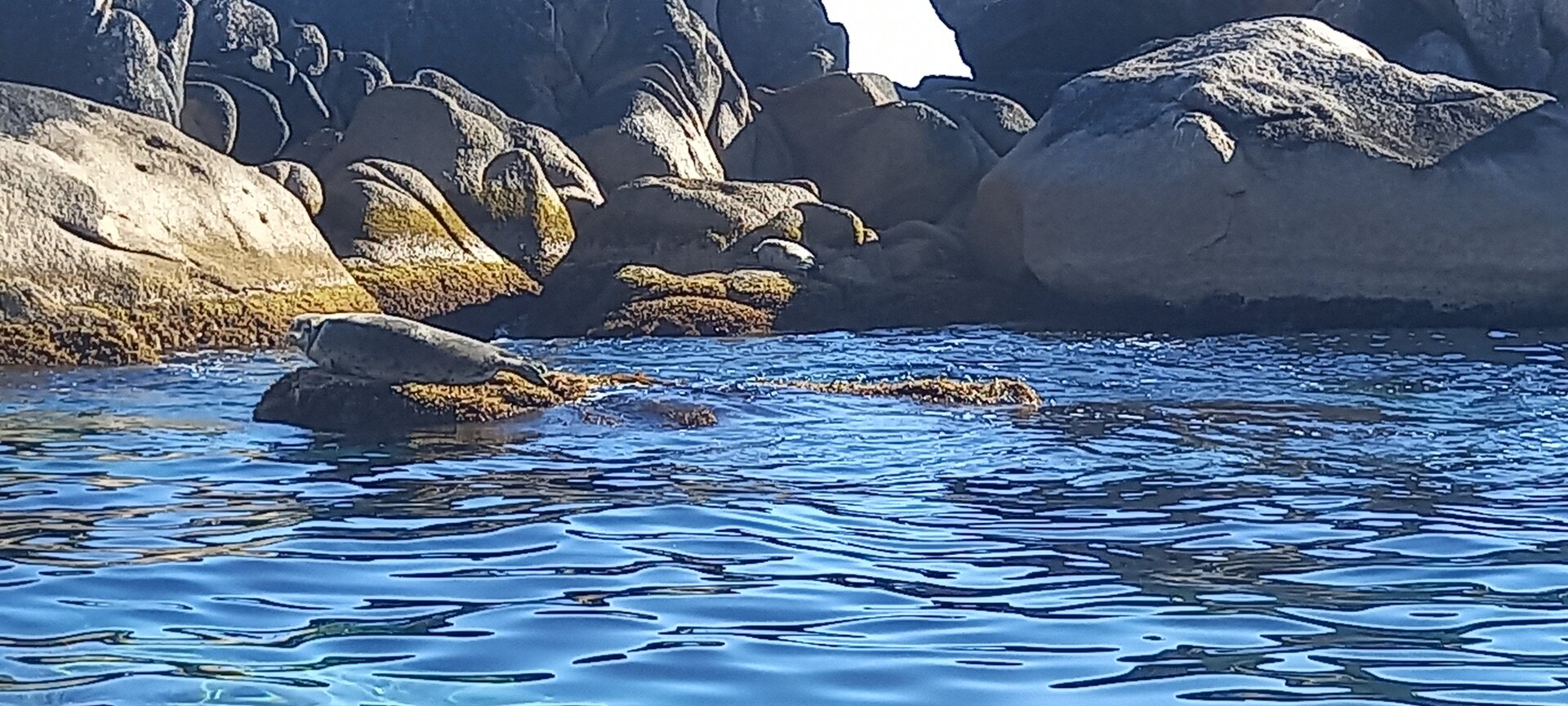 20241005_095917.jpg