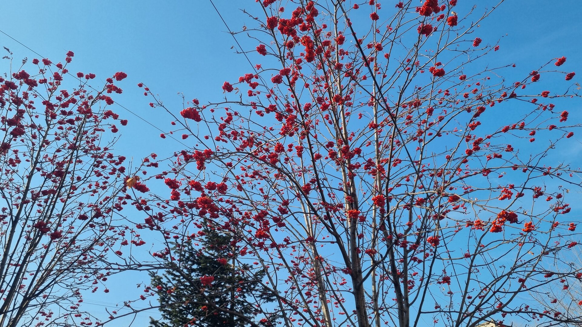 20241028_131121.jpg