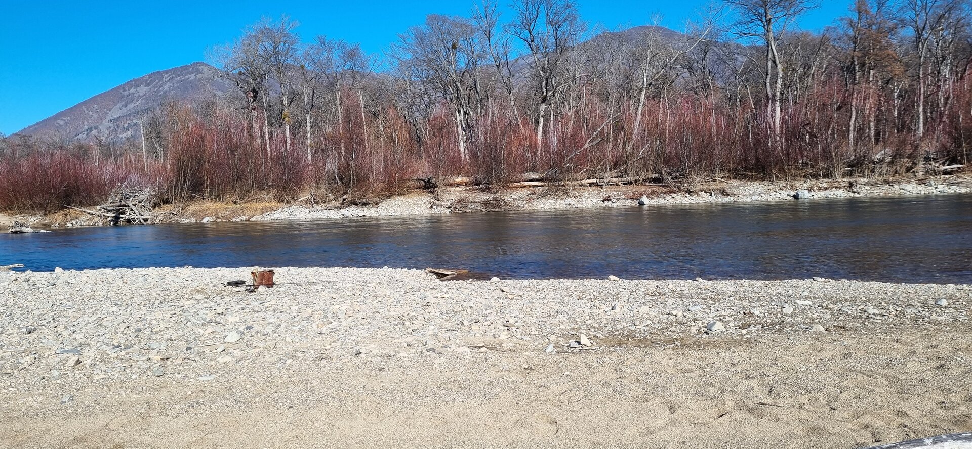 20241103_121630.jpg