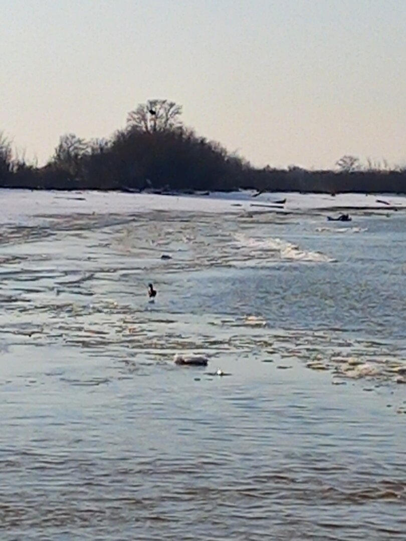 20241109_144131.jpg