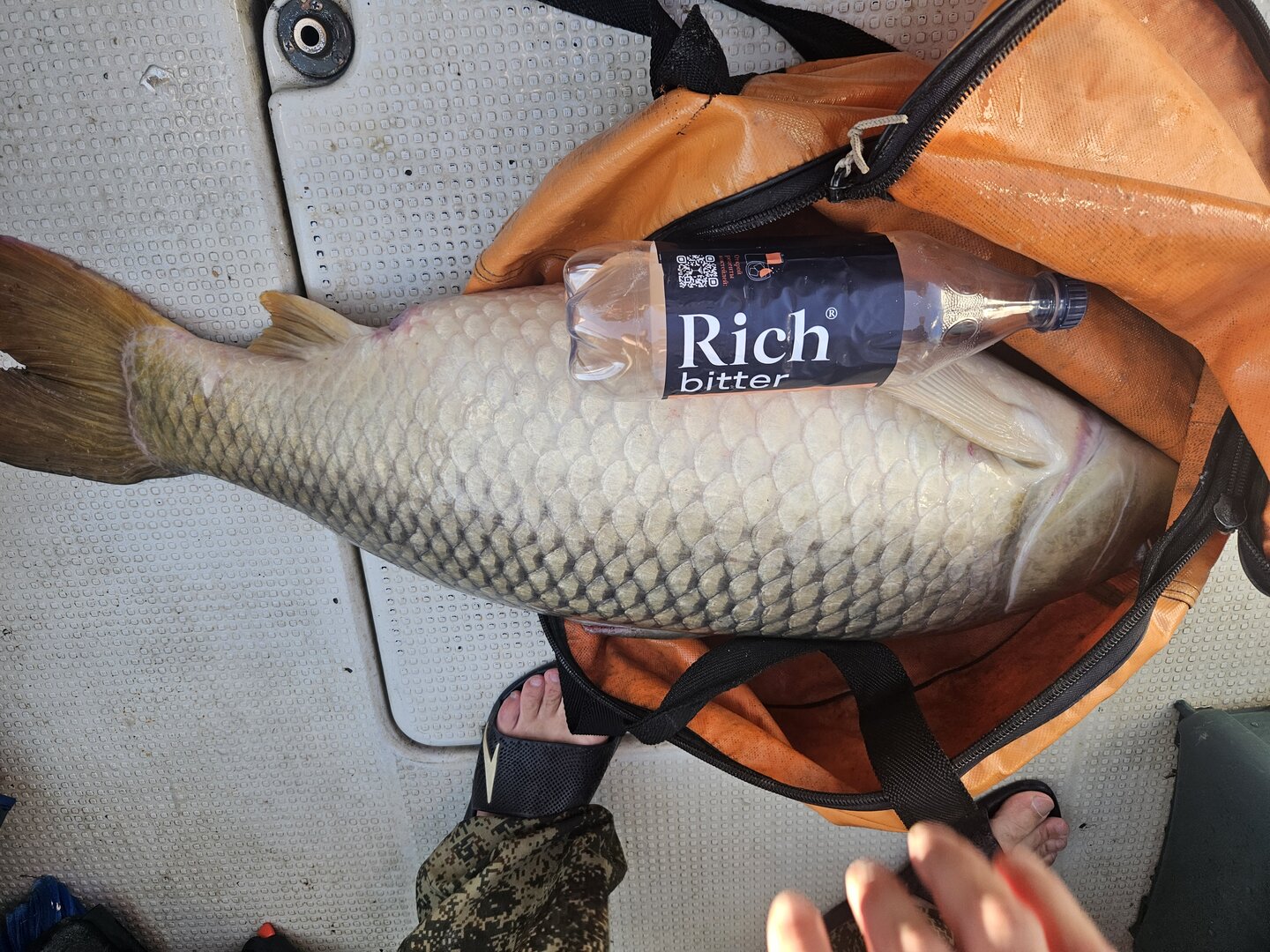 2025-09-09 17.31.56.jpg