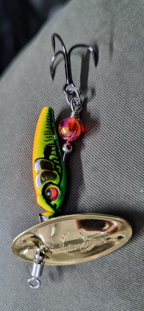 20250219_120743.jpg