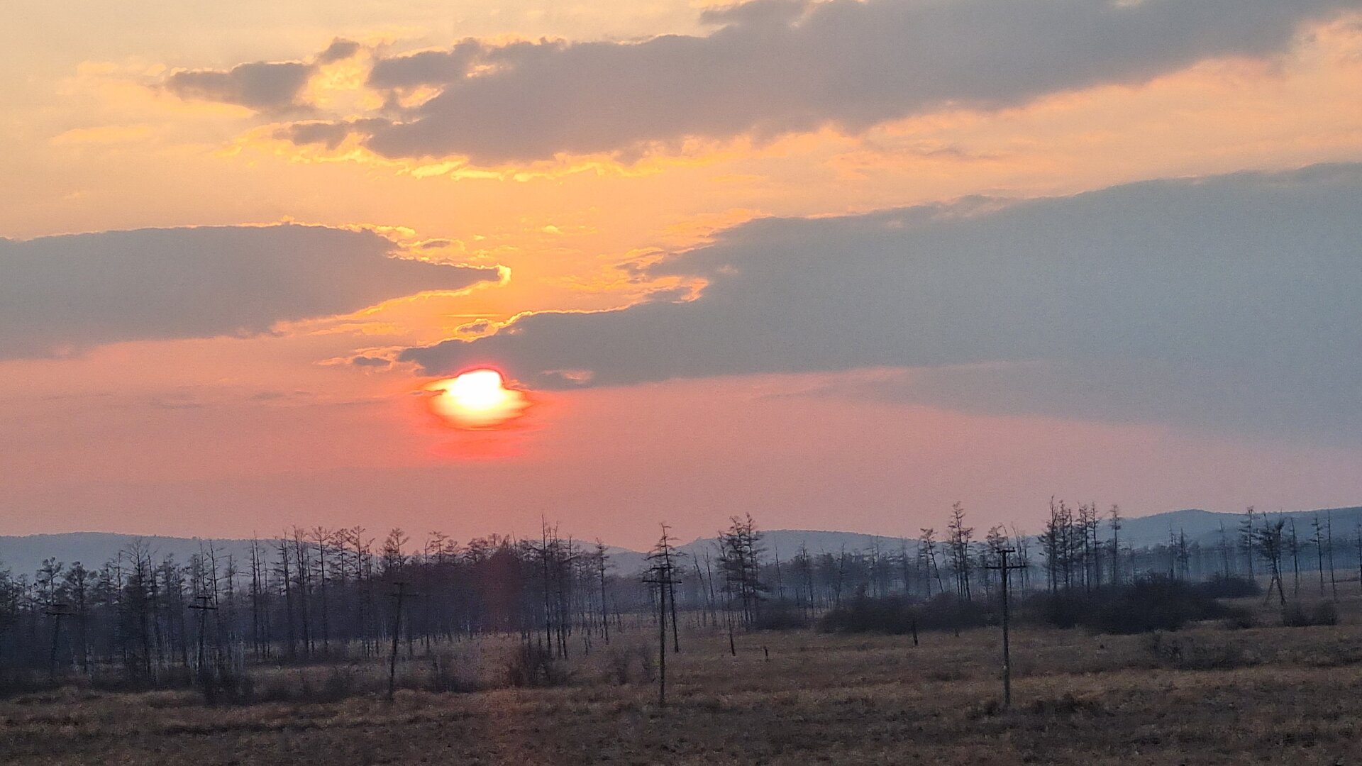 20250407_192814.jpg
