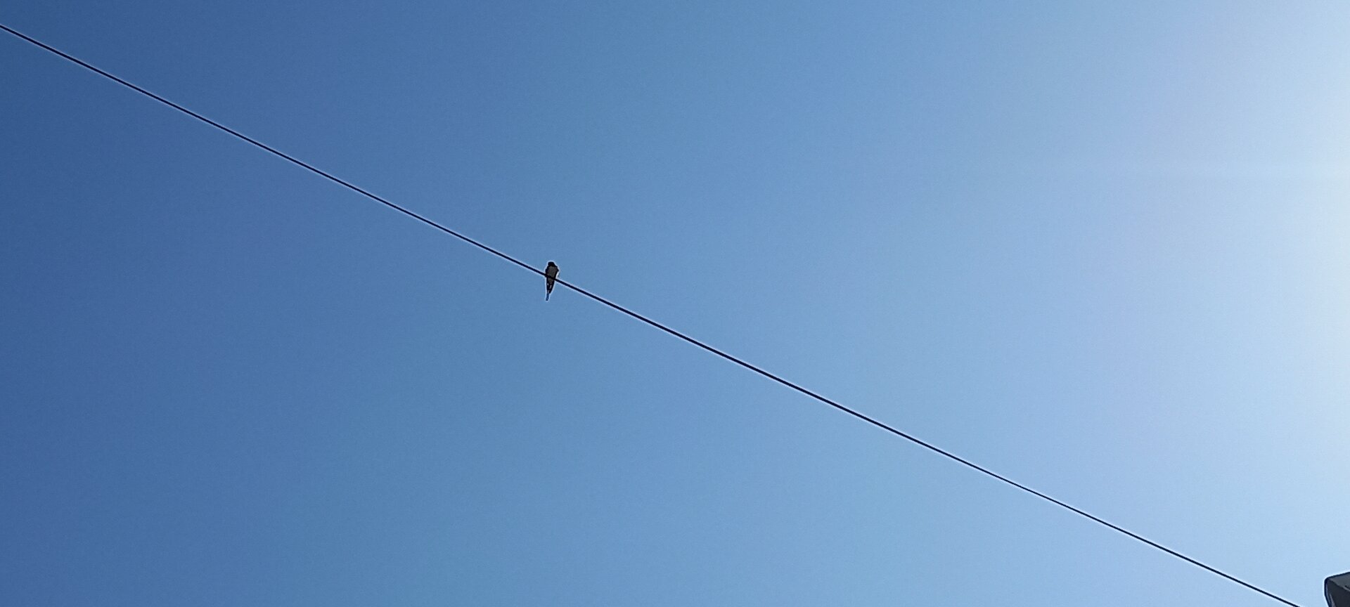 20250409_100218.jpg