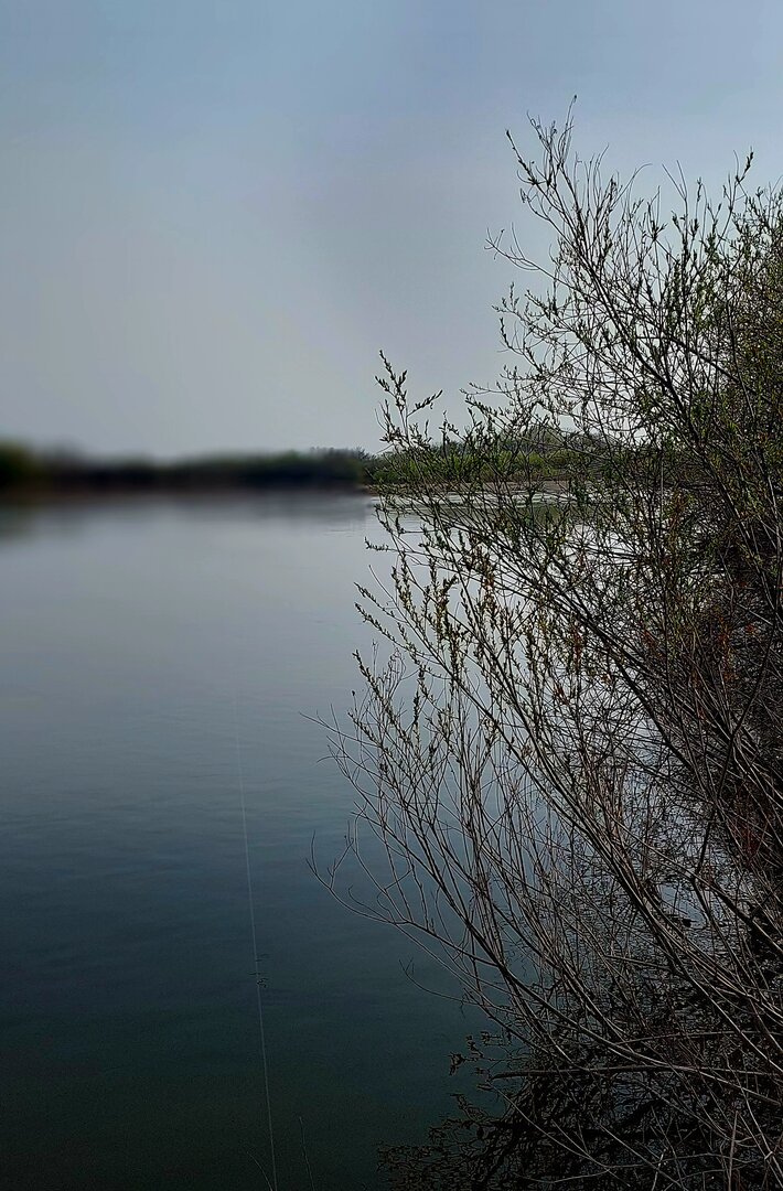 20250501_084734.jpg