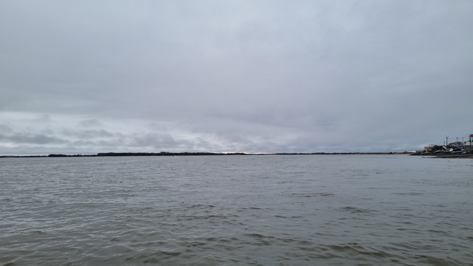 20250504_080826.jpg