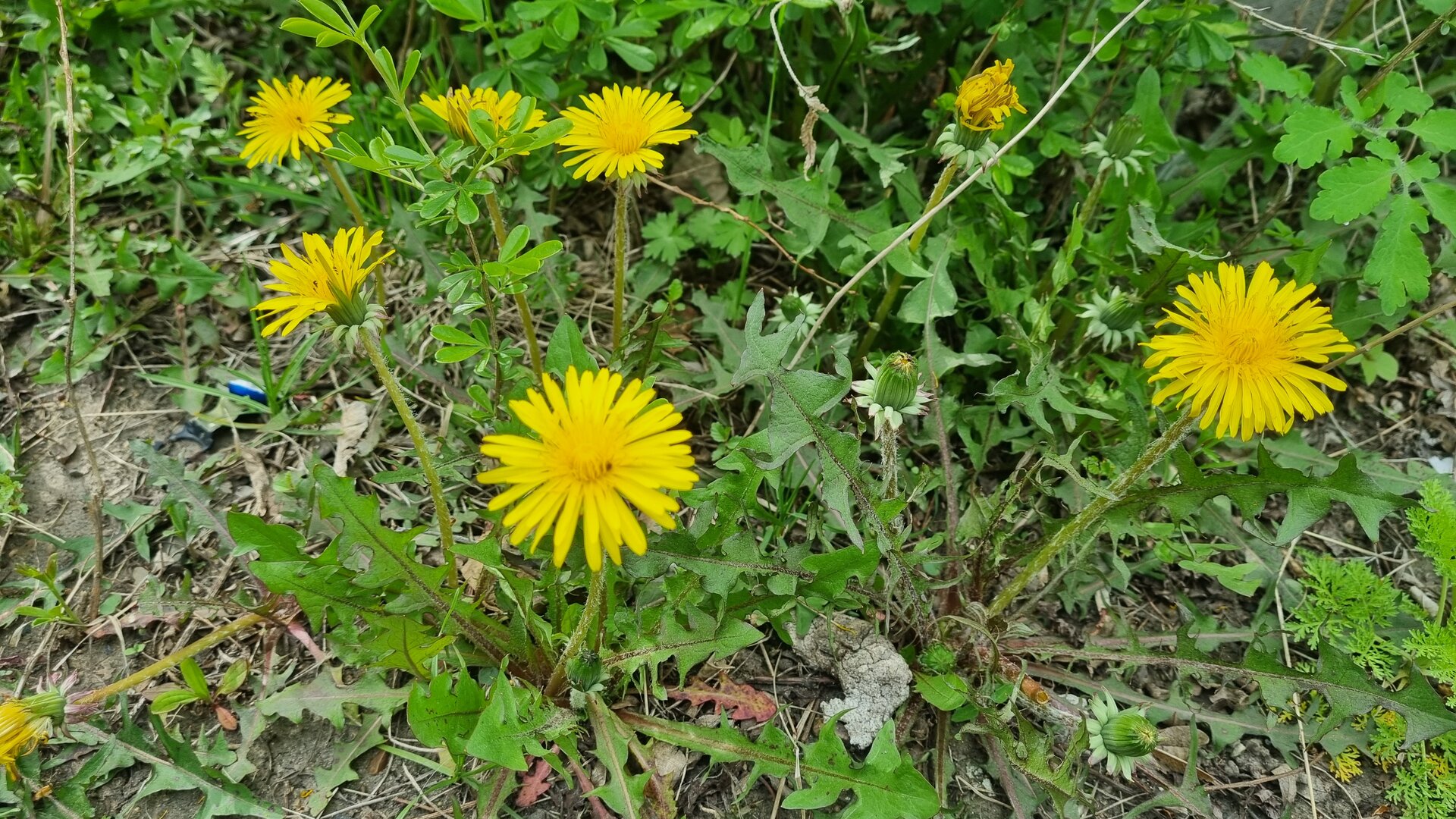 20250512_161026.jpg
