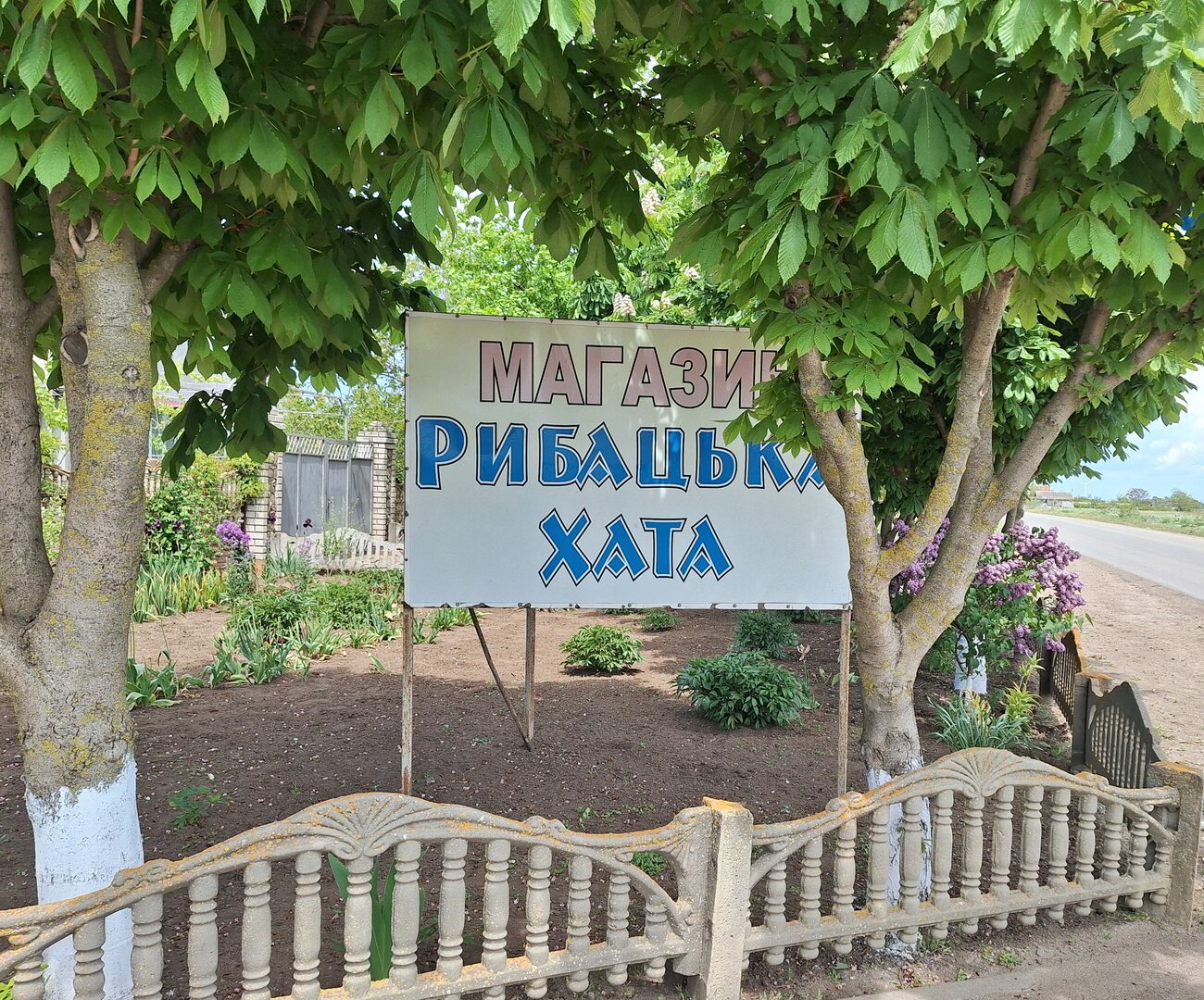20250519_115035.jpg