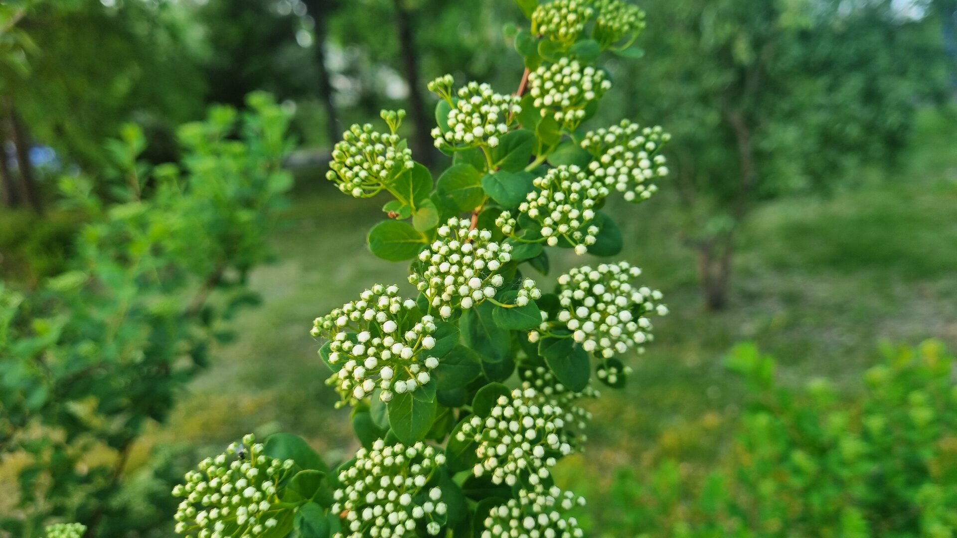 20250602_195646.jpg