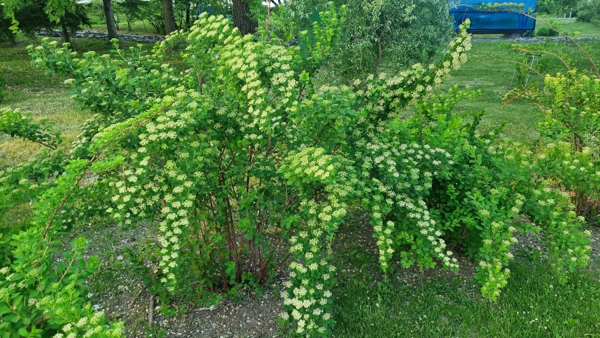 20250602_195728.jpg