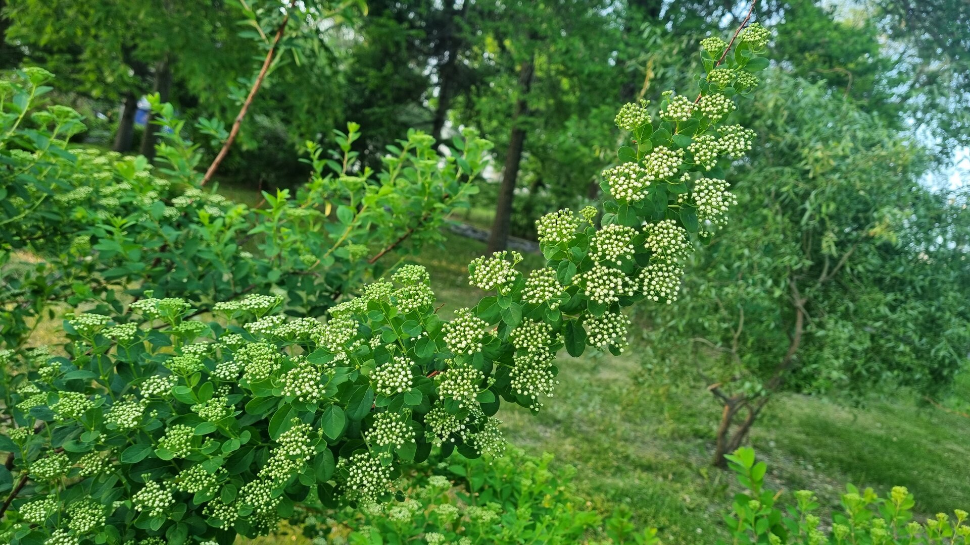 20250602_195801.jpg